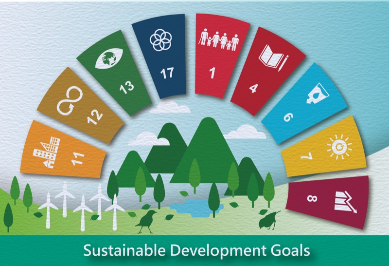 STSP sustainability vision and roadmap